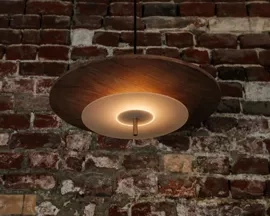 Loftlight :: Lampa wisząca Aeroplan Wood śr. 47 cm