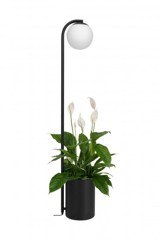 Kaspa :: Lampa podłogowa  Botanica Deco XL Wood czarna  wys. 147 cm