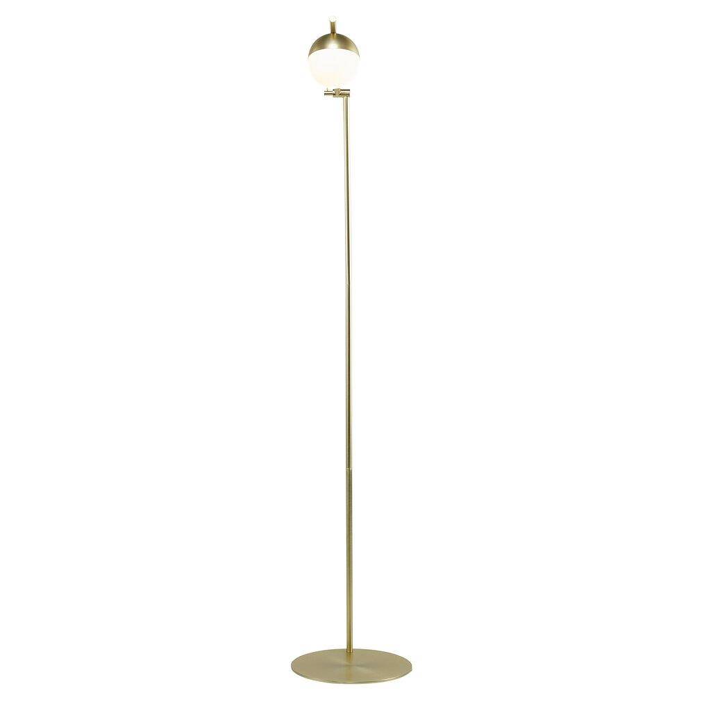 Z ekspozycji - Nordlux :: Lampa podłogowa Contina mosiężna wys. 139,5 cm